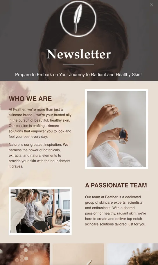 Newsletter email template